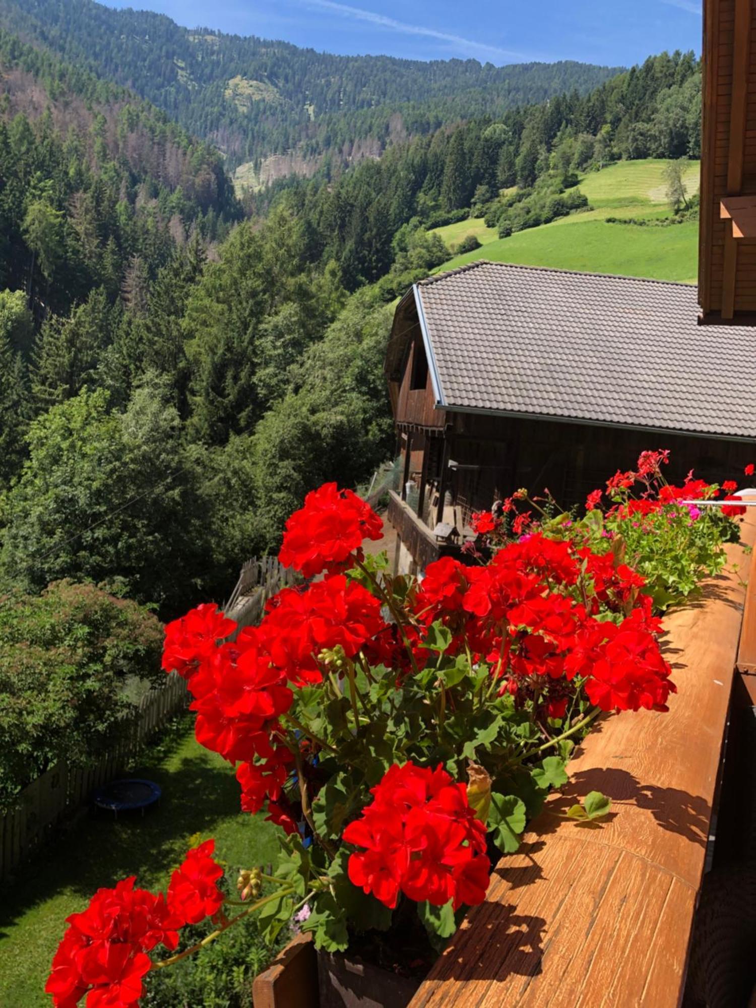 Apartamento Thalerhof San Lorenzo di Sebato Exterior foto