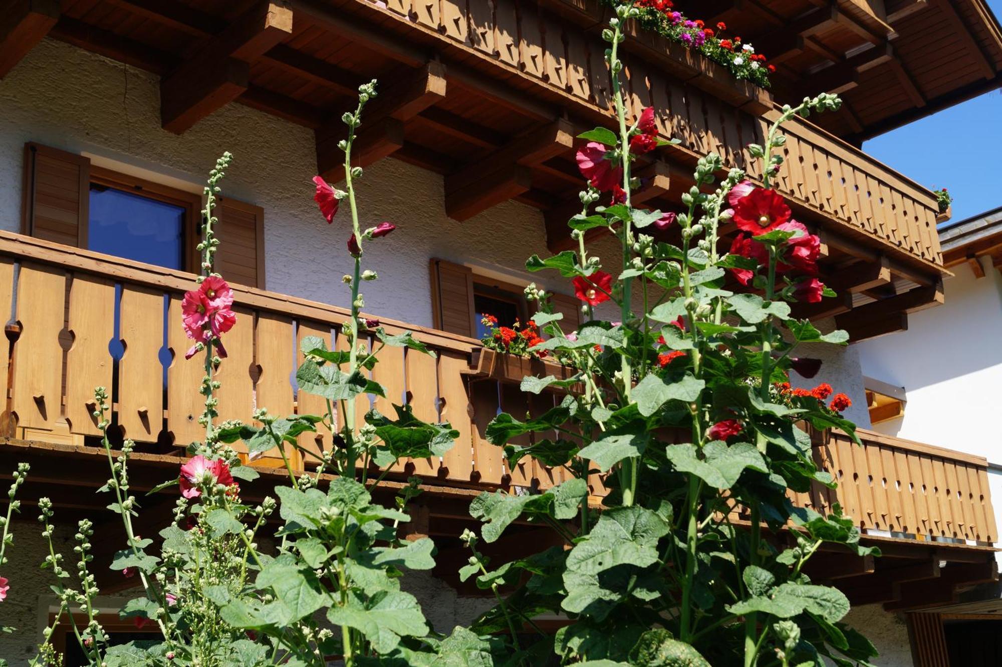 Apartamento Thalerhof San Lorenzo di Sebato Exterior foto