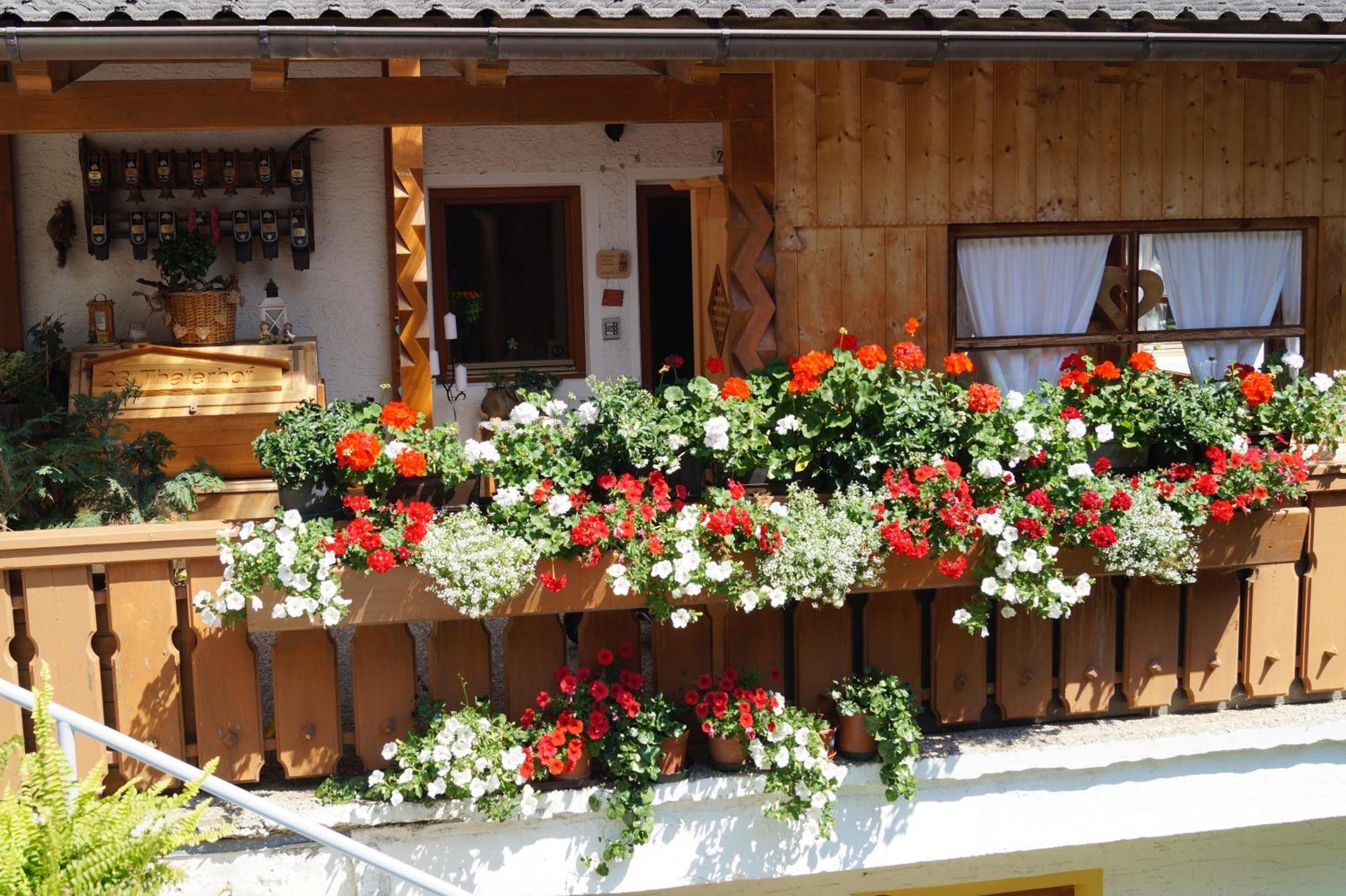 Apartamento Thalerhof San Lorenzo di Sebato Exterior foto